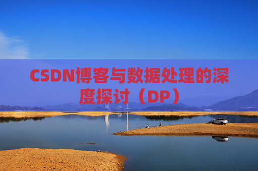 CSDN博客与数据处理的深度探讨（DP）